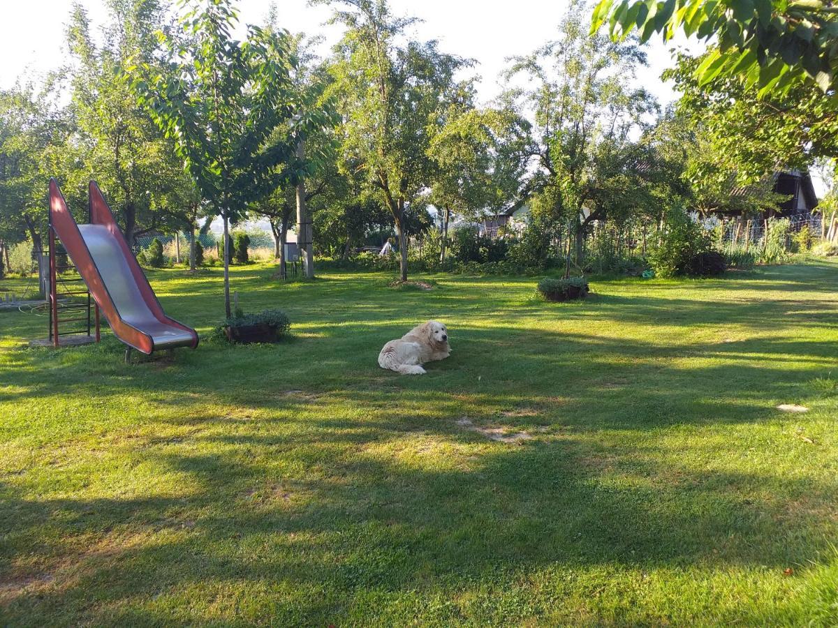 Camping Lukac 库蒂纳 外观 照片